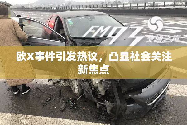 欧X事件引发热议，凸显社会关注新焦点