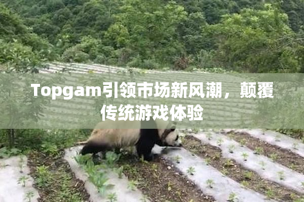 Topgam引领市场新风潮，颠覆传统游戏体验