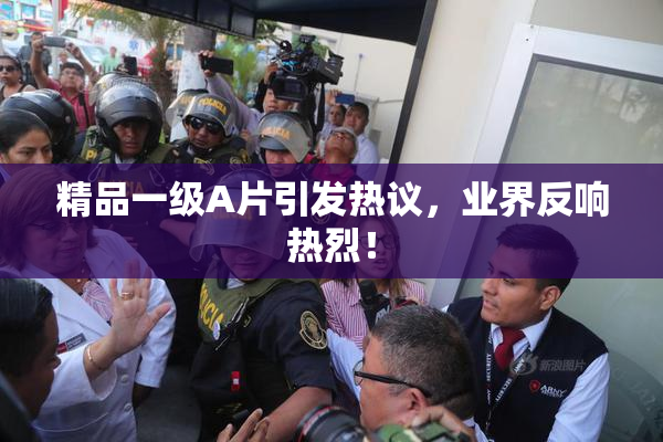 精品一级A片引发热议，业界反响热烈！