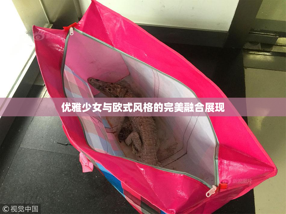优雅少女与欧式风格的完美融合展现