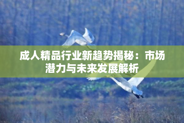 成人精品行业新趋势揭秘：市场潜力与未来发展解析