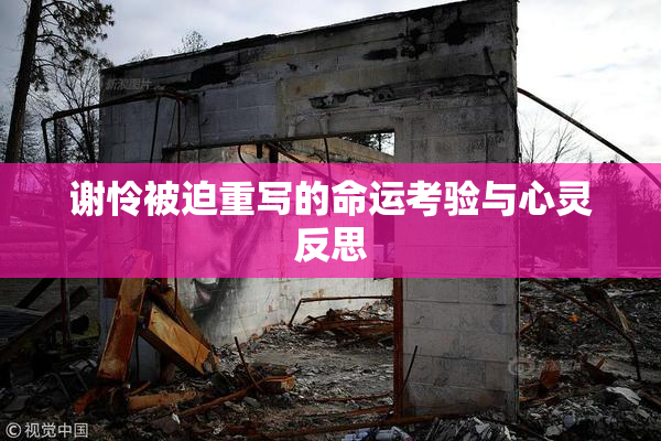 谢怜被迫重写的命运考验与心灵反思