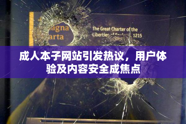 成人本子网站引发热议，用户体验及内容安全成焦点