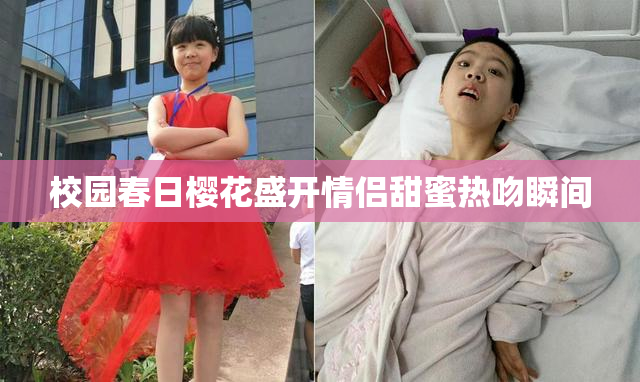 校园春日樱花盛开情侣甜蜜热吻瞬间