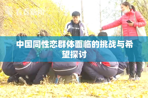 中国同性恋群体面临的挑战与希望探讨