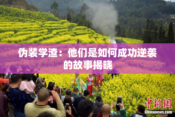 伪装学渣：他们是如何成功逆袭的故事揭晓
