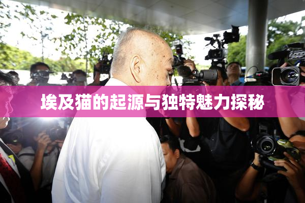 埃及猫的起源与独特魅力探秘