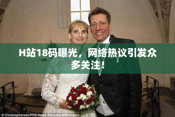 H站18码曝光，网络热议引发众多关注！