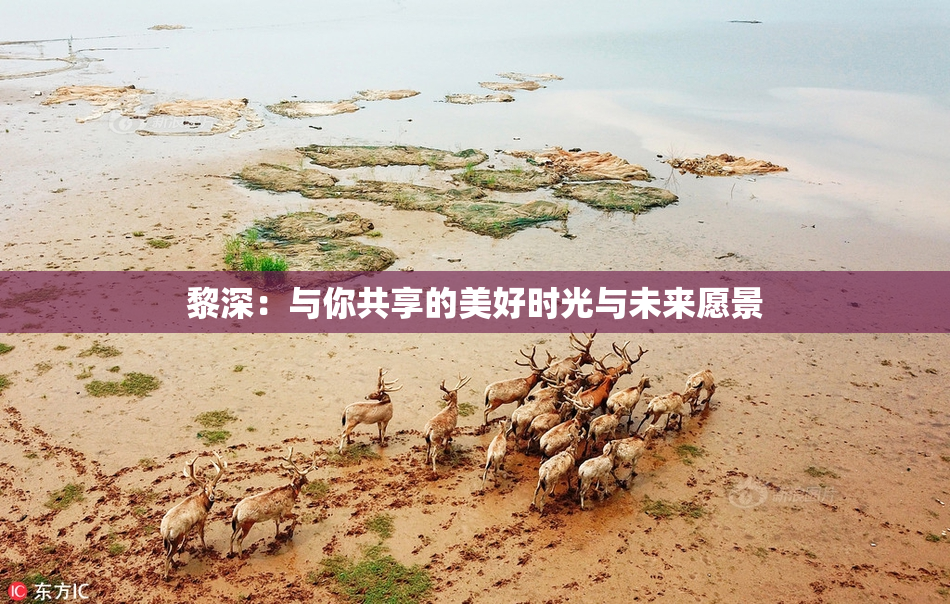 黎深：与你共享的美好时光与未来愿景