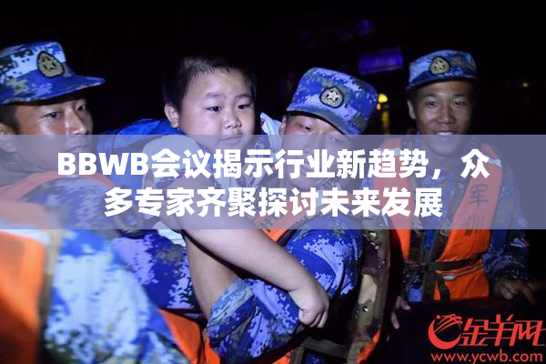 BBWB会议揭示行业新趋势，众多专家齐聚探讨未来发展