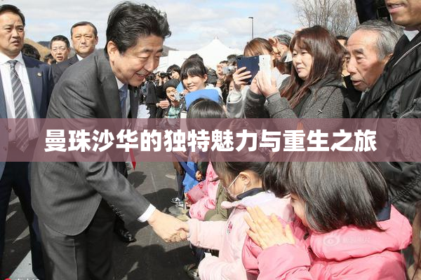 曼珠沙华的独特魅力与重生之旅