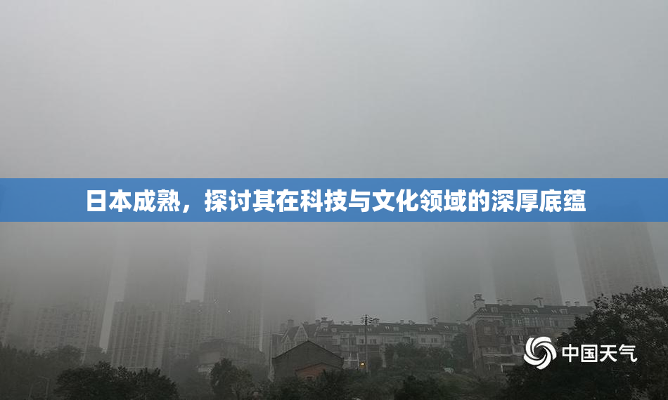 日本成熟，探讨其在科技与文化领域的深厚底蕴