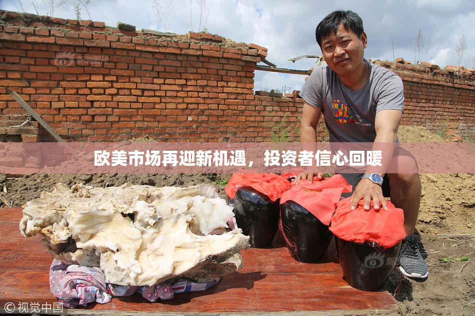 欧美市场再迎新机遇，投资者信心回暖