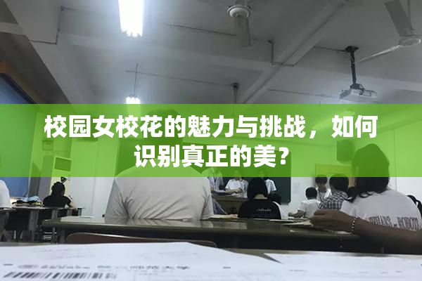 校园女校花的魅力与挑战，如何识别真正的美？