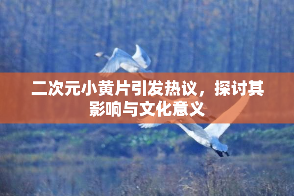 二次元小黄片引发热议，探讨其影响与文化意义