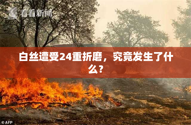 白丝遭受24重折磨，究竟发生了什么？