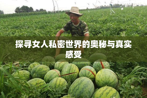 探寻女人私密世界的奥秘与真实感受