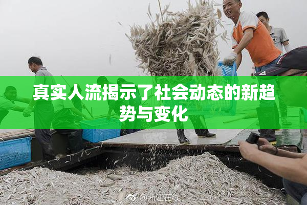 真实人流揭示了社会动态的新趋势与变化