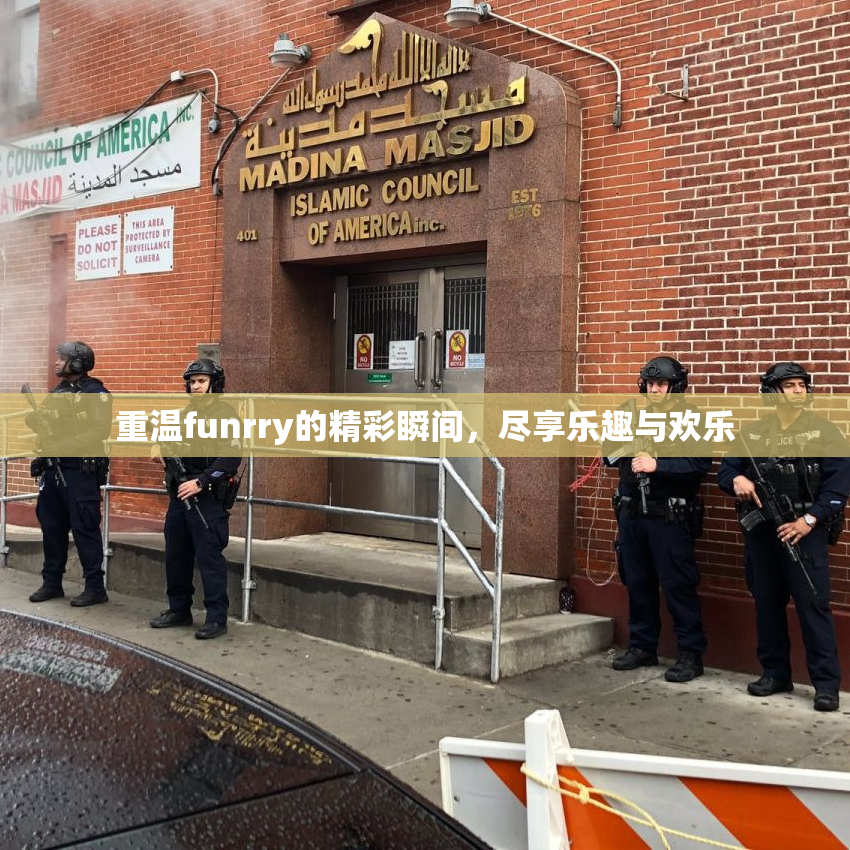 重温funrry的精彩瞬间，尽享乐趣与欢乐