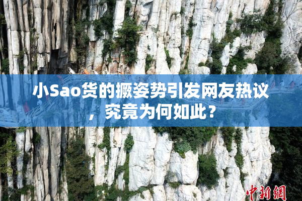 小Sao货的撅姿势引发网友热议，究竟为何如此？