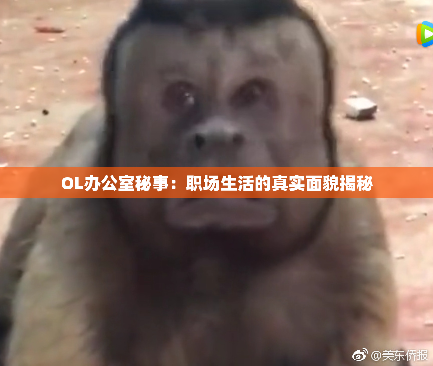 OL办公室秘事：职场生活的真实面貌揭秘