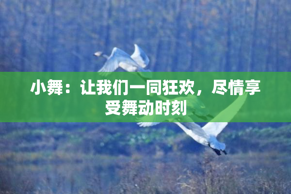 小舞：让我们一同狂欢，尽情享受舞动时刻