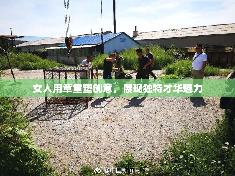 女人用章重塑创意，展现独特才华魅力