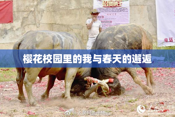 樱花校园里的我与春天的邂逅