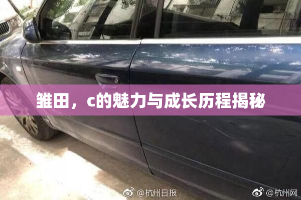 雏田，c的魅力与成长历程揭秘