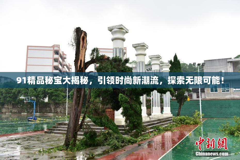 91精品秘宝大揭秘，引领时尚新潮流，探索无限可能！