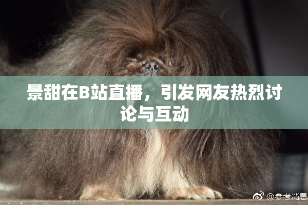 景甜在B站直播，引发网友热烈讨论与互动