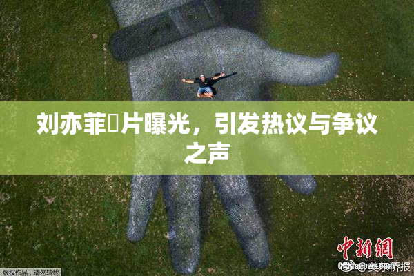 刘亦菲婬片曝光，引发热议与争议之声