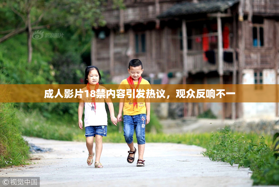 成人影片18禁内容引发热议，观众反响不一