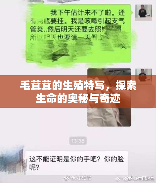 毛茸茸的生殖特写，探索生命的奥秘与奇迹