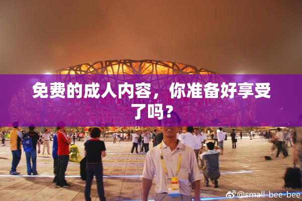 免费的成人内容，你准备好享受了吗？