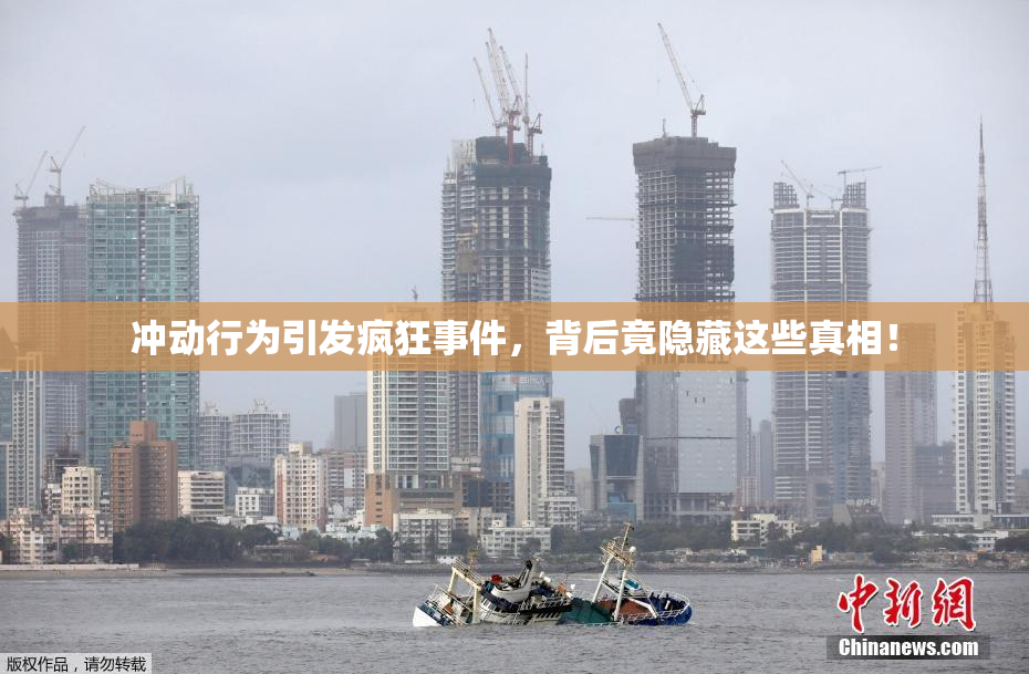 冲动行为引发疯狂事件，背后竟隐藏这些真相！
