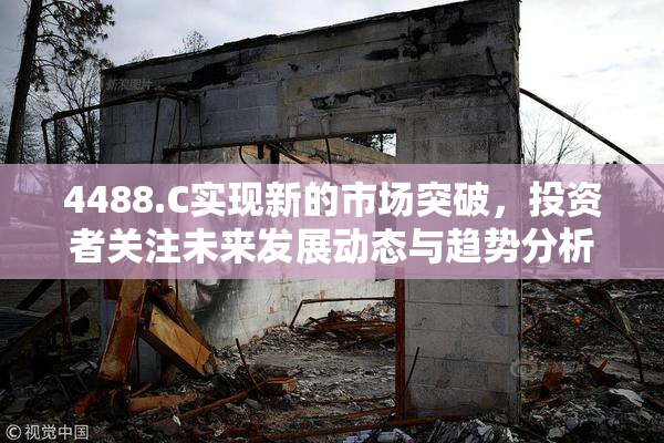 4488.C实现新的市场突破，投资者关注未来发展动态与趋势分析