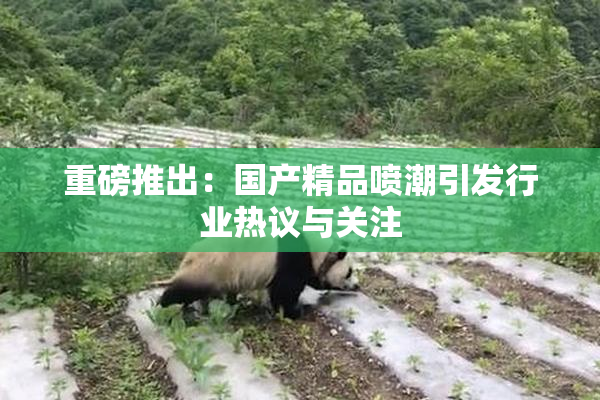 重磅推出：国产精品喷潮引发行业热议与关注