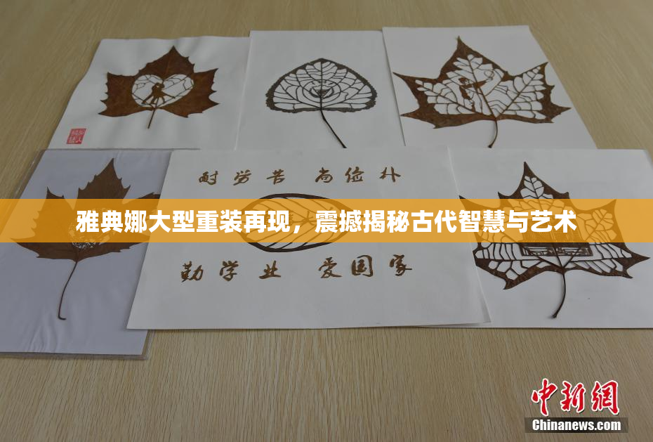 雅典娜大型重装再现，震撼揭秘古代智慧与艺术