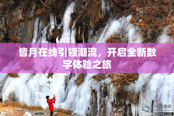皆月在线引领潮流，开启全新数字体验之旅