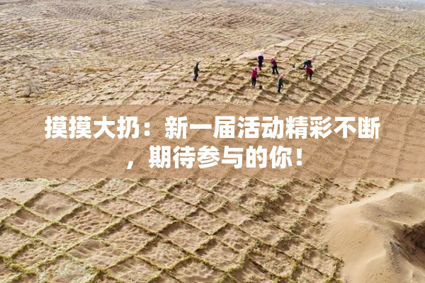 摸摸大扔：新一届活动精彩不断，期待参与的你！