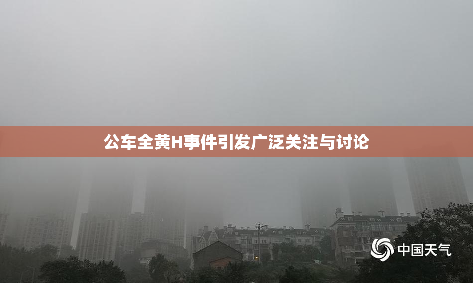 公车全黄H事件引发广泛关注与讨论