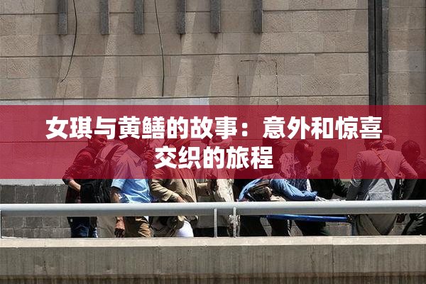 女琪与黄鳝的故事：意外和惊喜交织的旅程