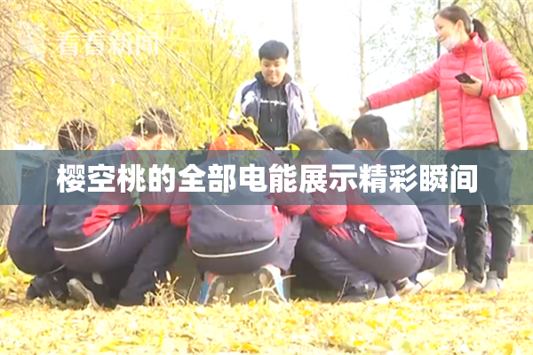 樱空桃的全部电能展示精彩瞬间