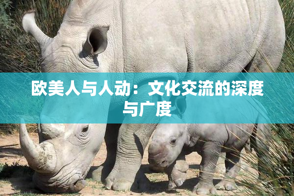 欧美人与人动：文化交流的深度与广度