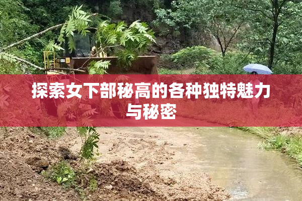 探索女下部秘高的各种独特魅力与秘密