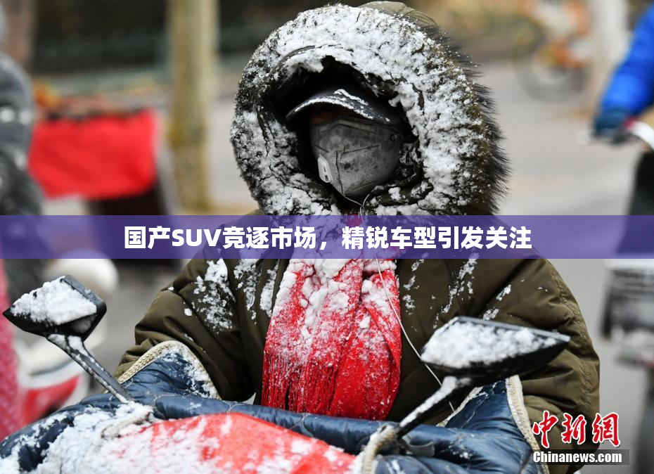国产SUV竞逐市场，精锐车型引发关注