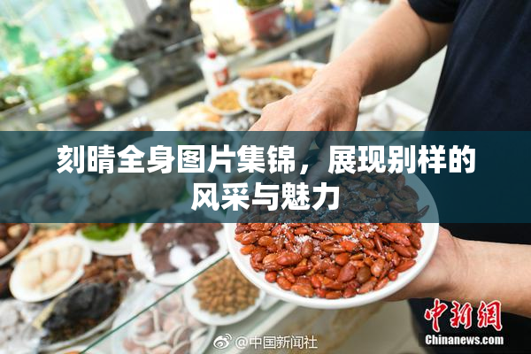 刻晴全身图片集锦，展现别样的风采与魅力