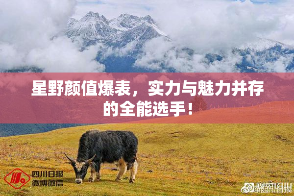 星野颜值爆表，实力与魅力并存的全能选手！