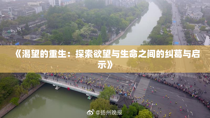 《渴望的重生：探索欲望与生命之间的纠葛与启示》